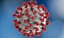 Coronavirus